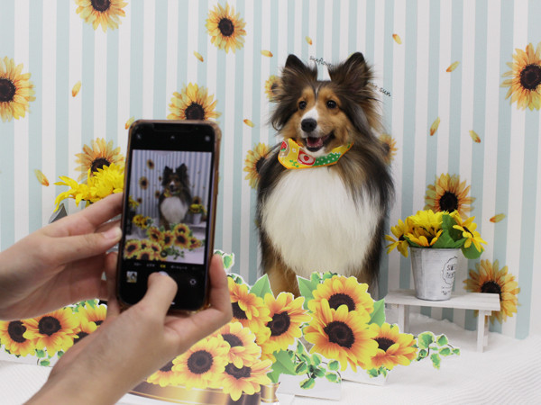 ２年生とモデル犬の写真撮影会♪～PART①～